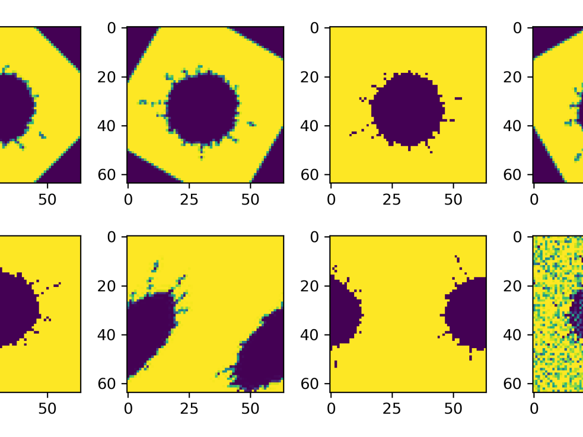Image Data Augmentation